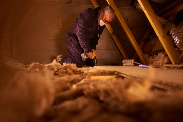 Best Insulation Installation Services in Buckeystown, MD